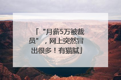 “月薪5万被裁员”，网上突然冒出很多！有猫腻